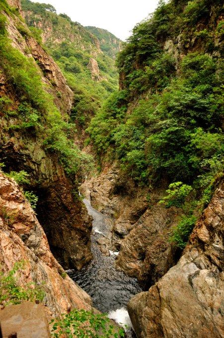 河南周口非遗项目“龙”重登场